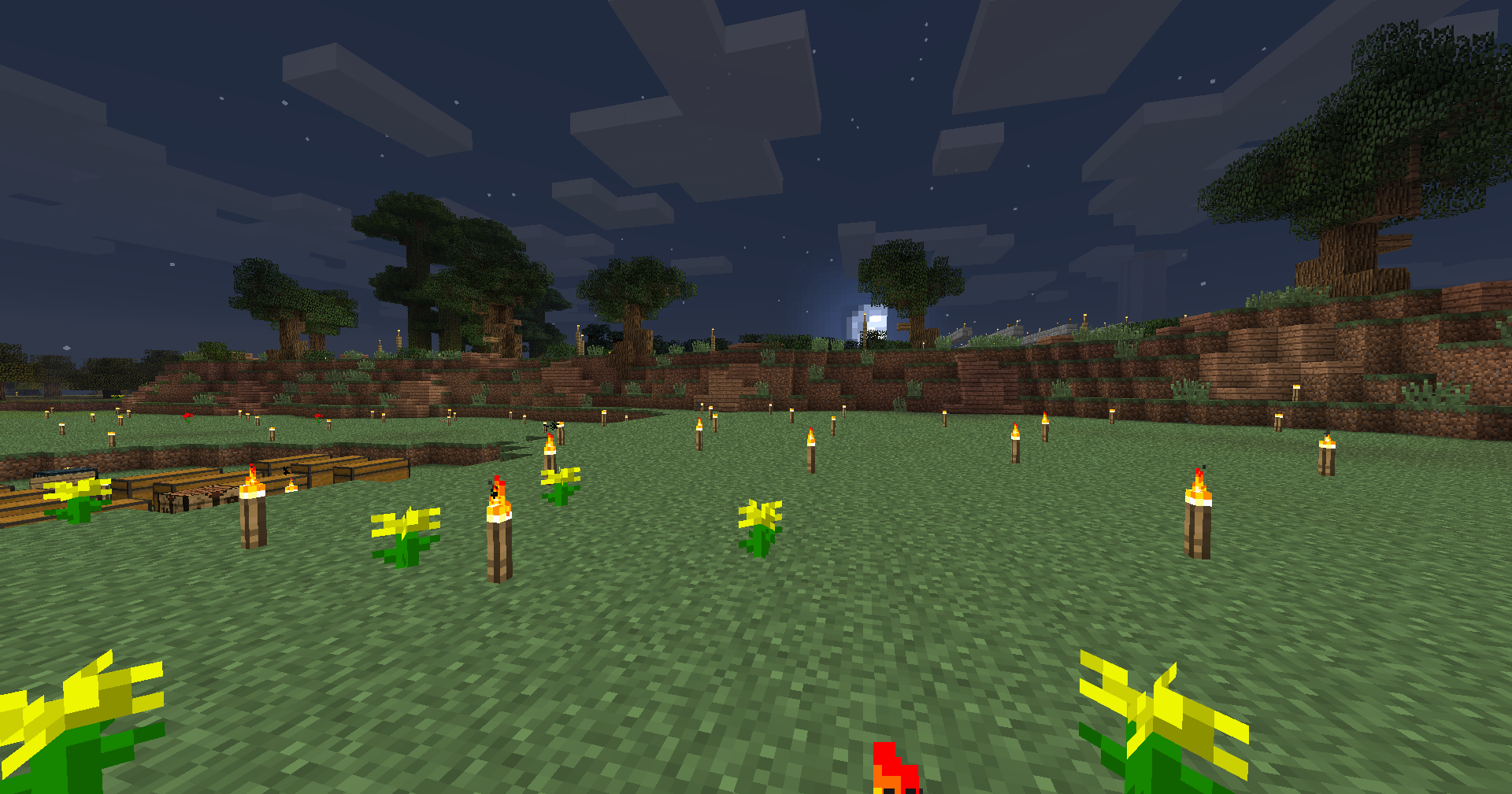 image-1781081772316.png